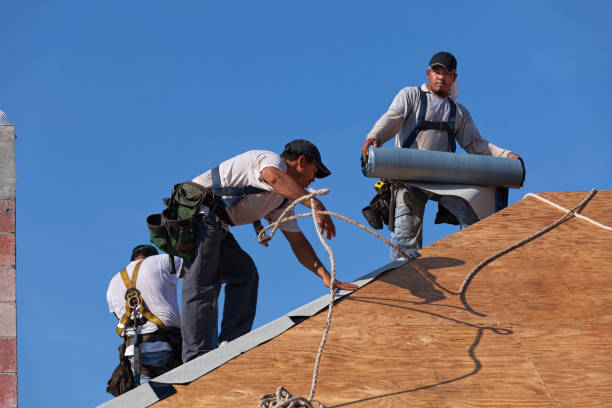 Best Residential Roof Replacement  in Elm Creek, TX